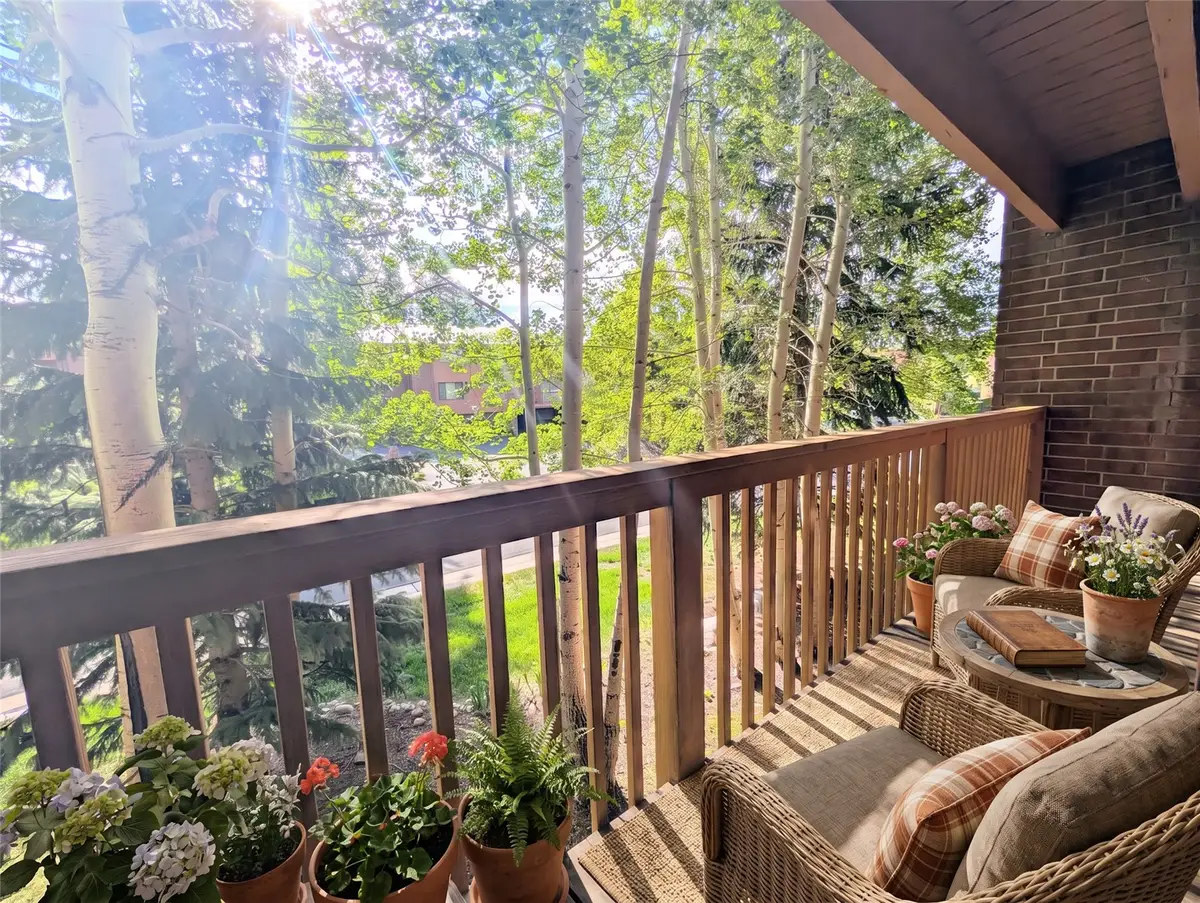 738 Lagoon Drive #D, Frisco, CO 80443 - #1