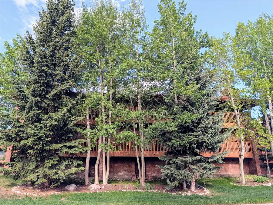 738 Lagoon Drive #D, Frisco, CO 80443 - #3