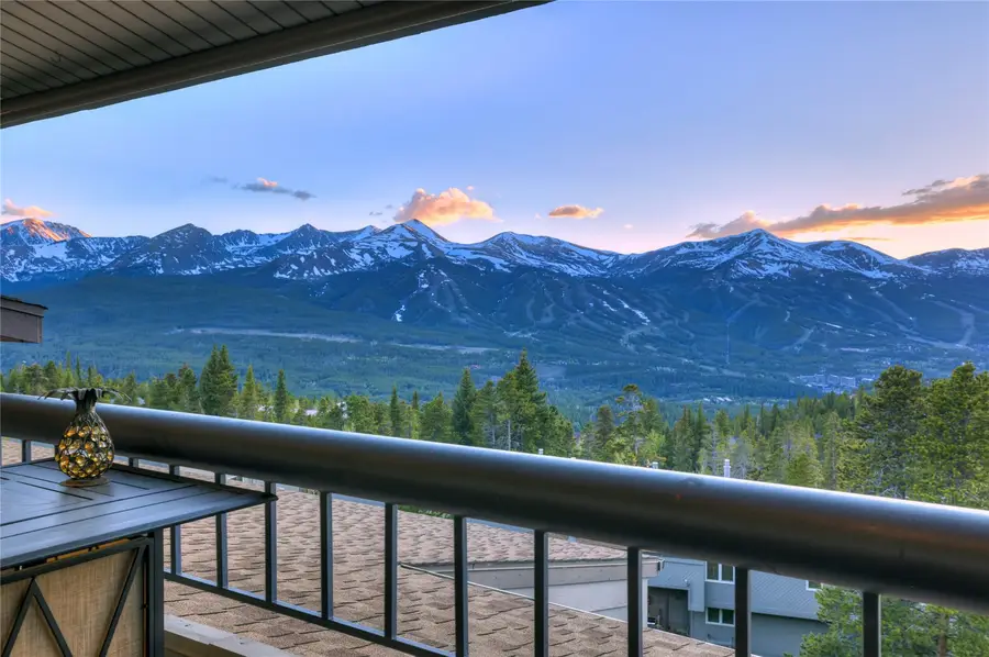187 N Fuller Placer Road #F, Breckenridge, CO 80424 - #2