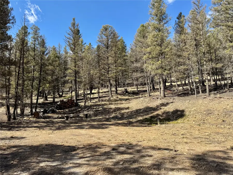 2403 Redhill Road, Fairplay, CO 80440 - #3