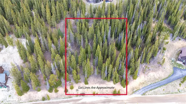 301 Kimmes Lane, Breckenridge, CO 80424