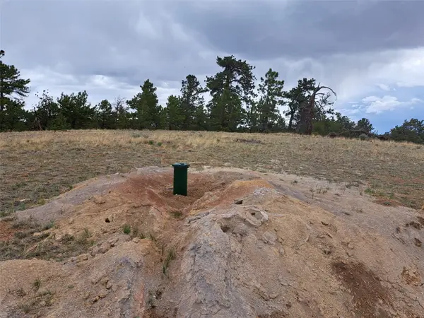 669 Hiawatha Circle, Hartsel, CO 80449