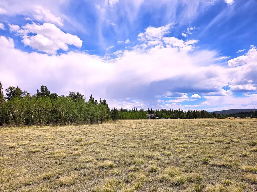 PCS#38033 Foxtail Drive, Fairplay, CO 80440 - #2