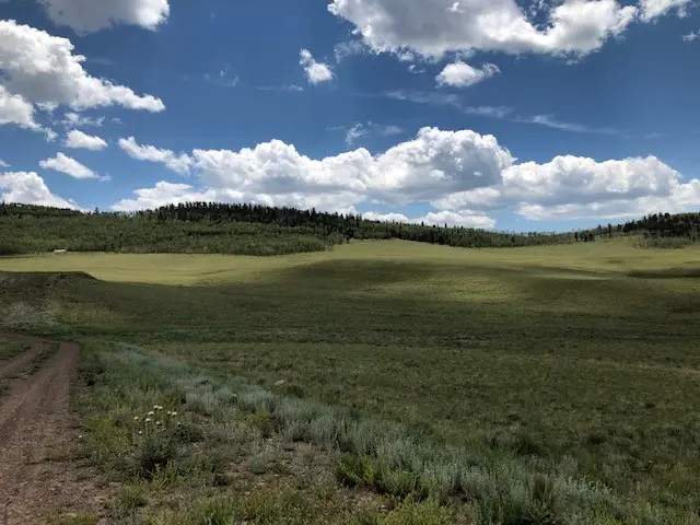 0 Chickasaw Road, Hartsel, CO 80449 - #3