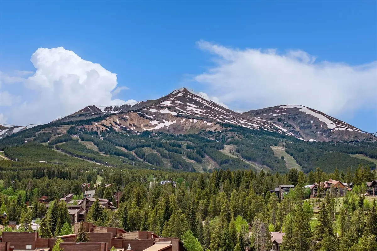 110 S Park Avenue #106, Breckenridge, CO 80424 - #1