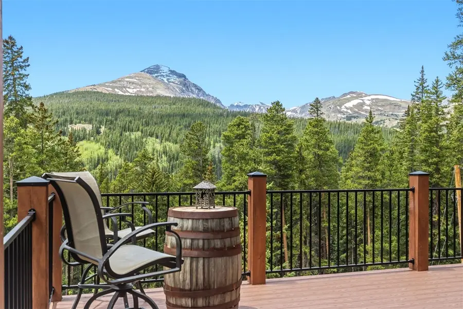 1043 Range Road, Breckenridge, CO 80424 - #3