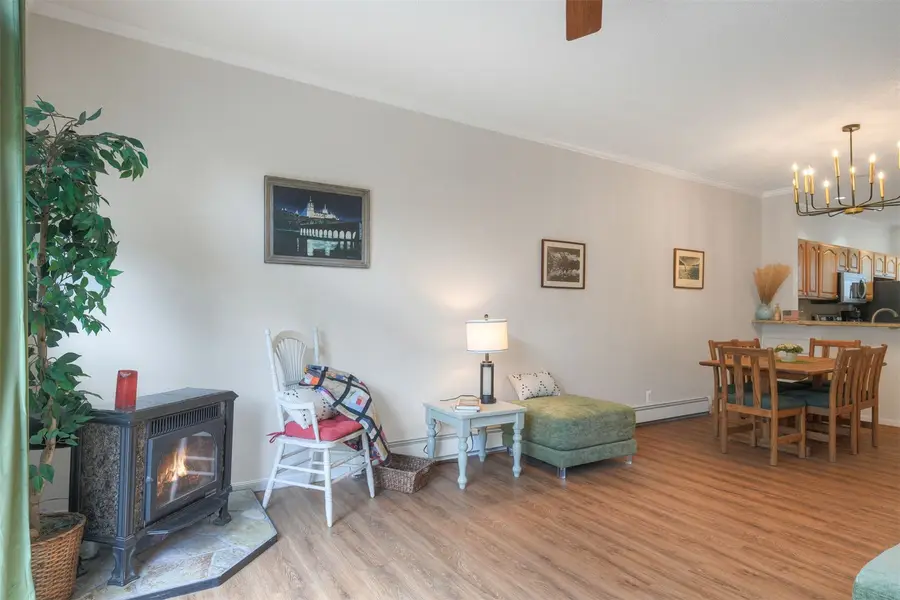 303 Saddle Ridge Drive #303, Silverthorne, CO 80498 - #3