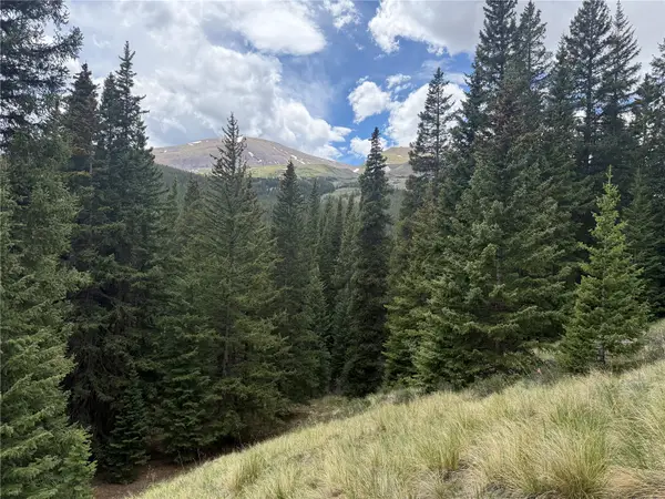 1081 Nuthatch Drive, Alma, CO 80420