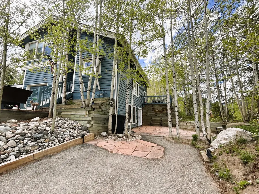 321 S 6th Avenue, Frisco, CO 80443 - #3