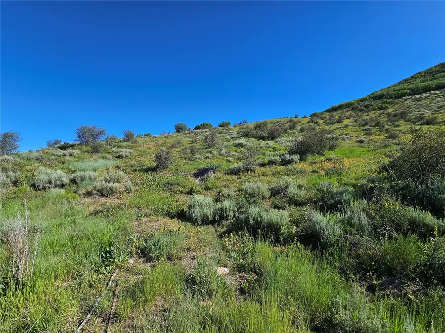 1327 Indian Trail, Steamboat Springs, CO 80487 - #2