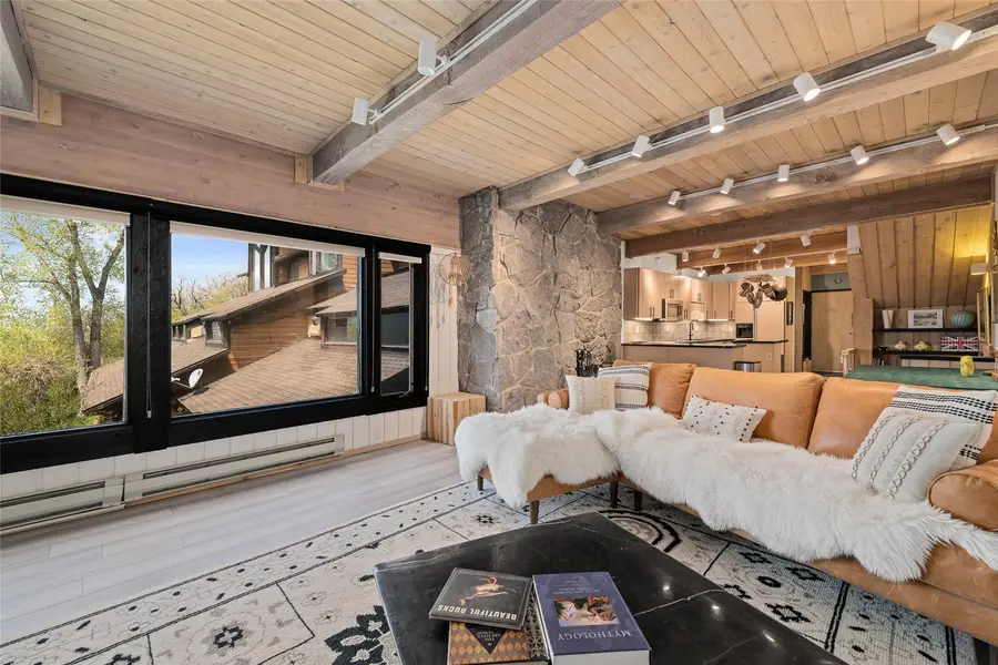 31500 Runaway Place #306, Steamboat Springs, CO 80487 - #3