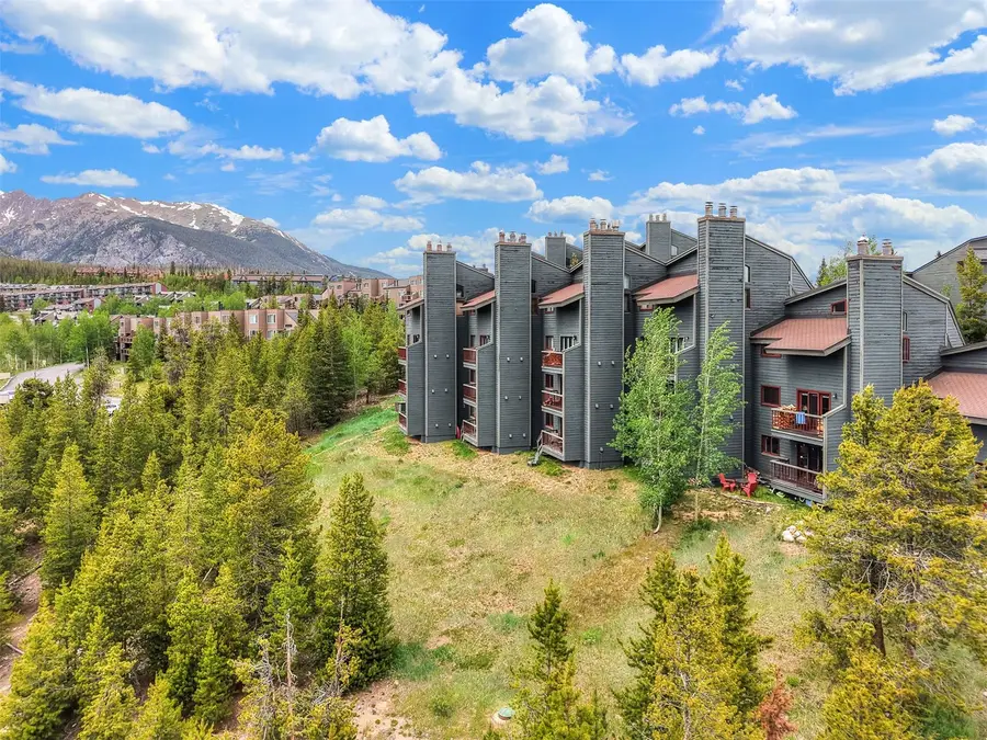 9460 Ryan Gulch Road #61, Silverthorne, CO 80498 - #2