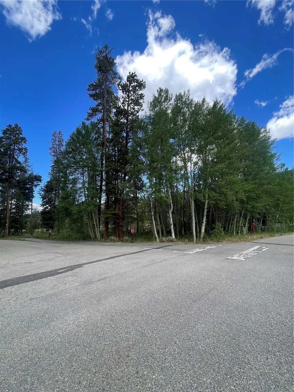 96 Elk Crossing Lane, Keystone, CO 80435 - #1
