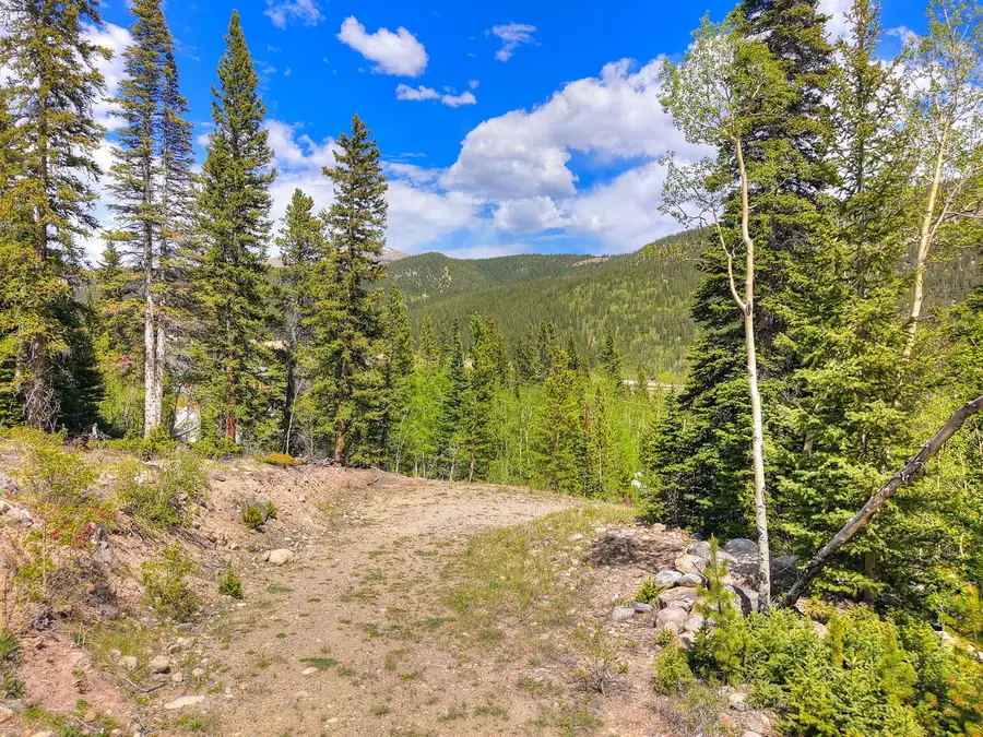 253 Mine Dump Road, Alma, CO 80440 - #2