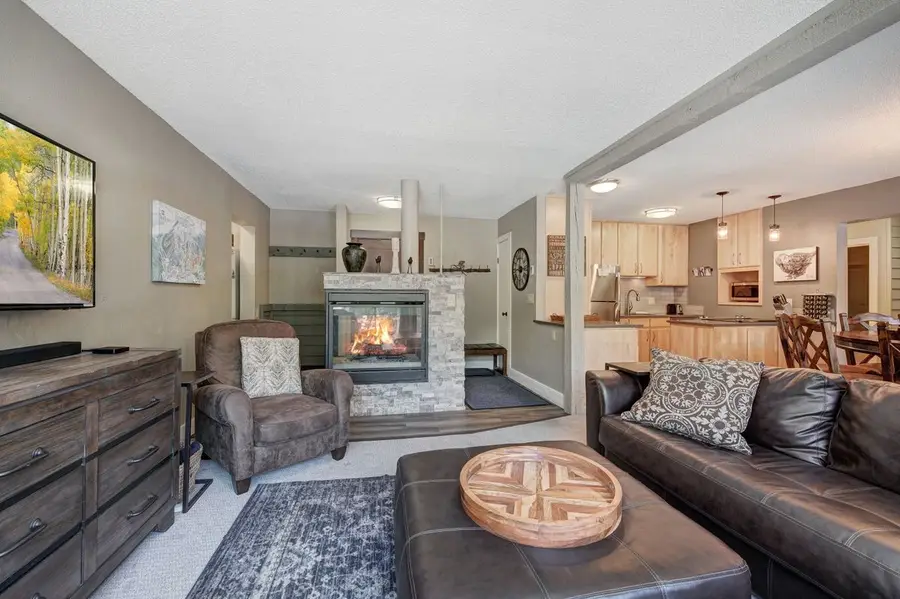 145 Wheeler Place #210, Copper Mountain, CO 80443 - #2