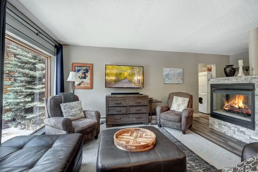 145 Wheeler Place #210, Copper Mountain, CO 80443 - #3