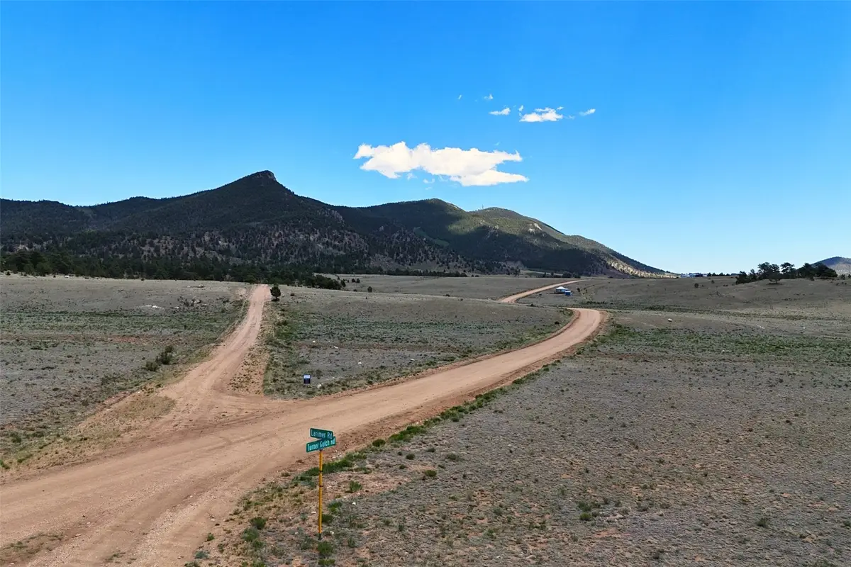 1372 Turner Gulch Road, Lake George, CO 80827 - #1