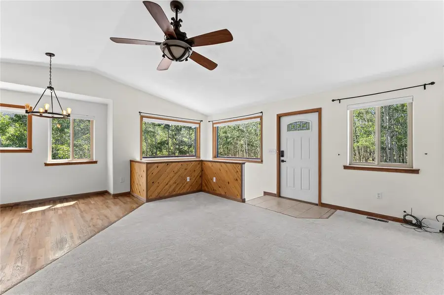 56 Sheep Ridge Road, Fairplay, CO 80440 - #3