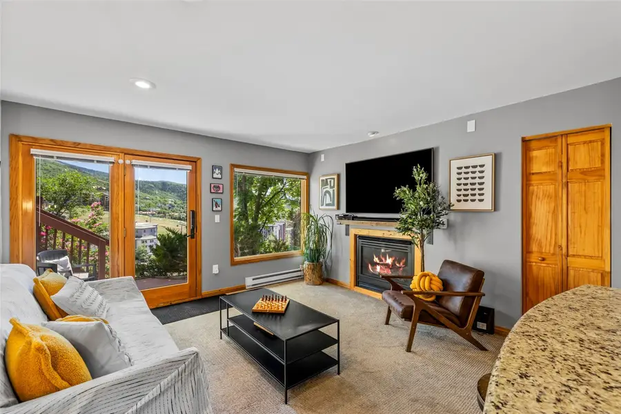 1800 Burgess Creek Road #205, Steamboat Springs, CO 80487 - #2