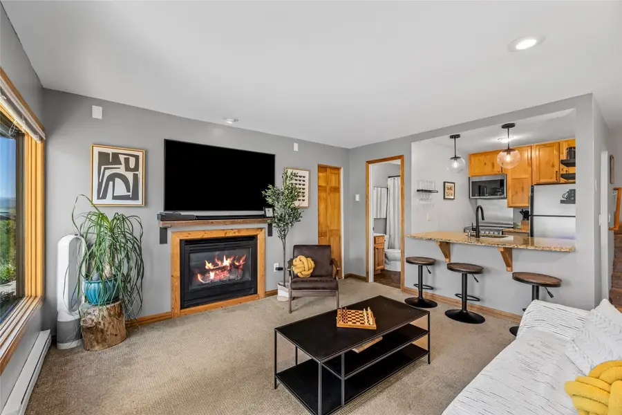 1800 Burgess Creek Road #205, Steamboat Springs, CO 80487 - #3