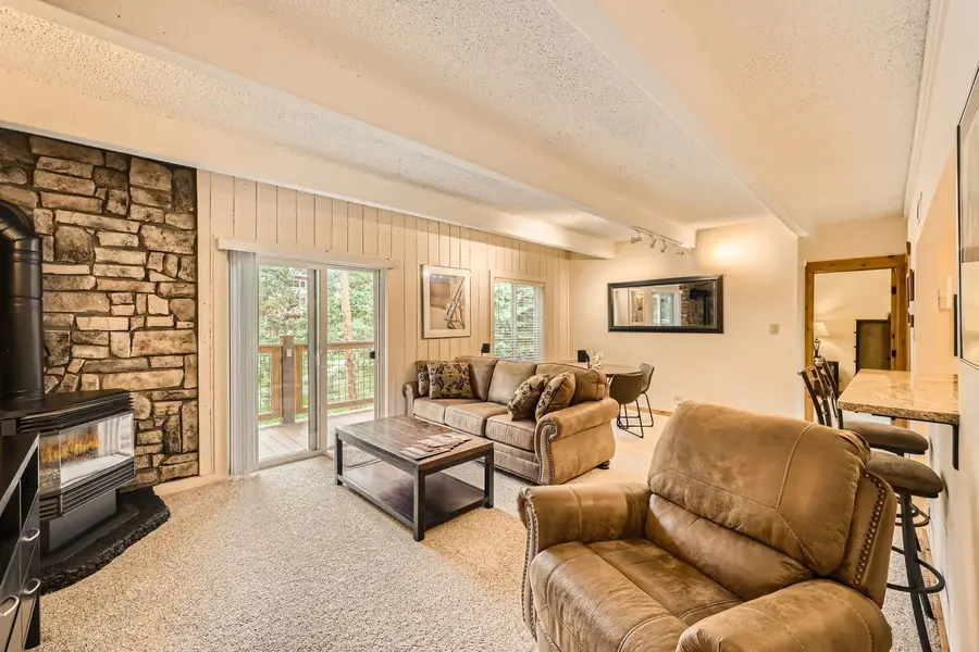 700 Snowberry Lane Lane #208, Breckenridge, CO 80424 - #2