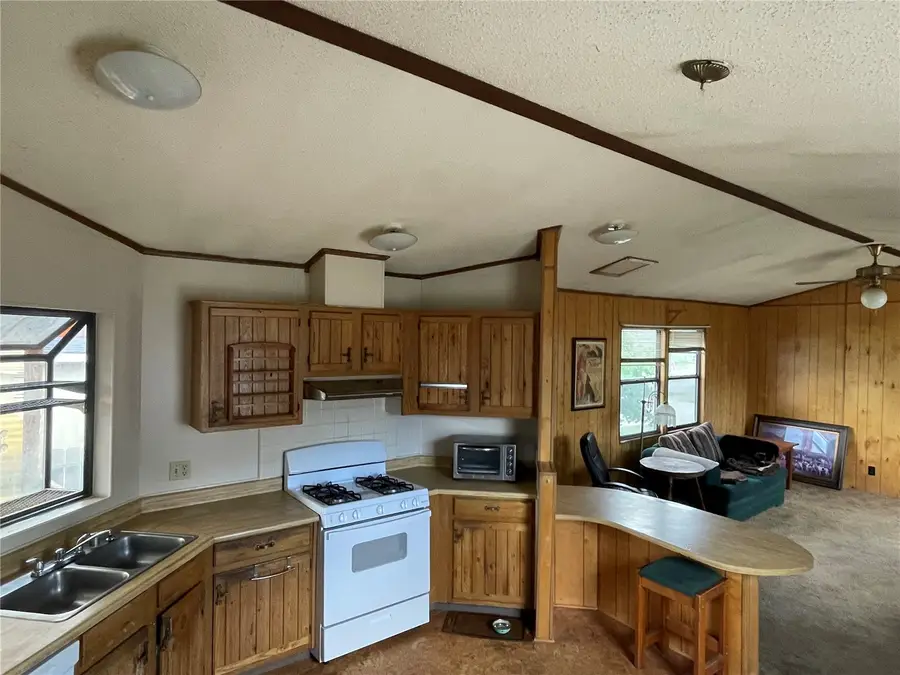 2 Snowmass Circle, Dillon, CO 80435 - #3