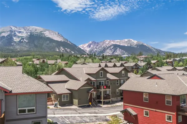 100 Wildernest Court #203C, Wildernest, CO 80498