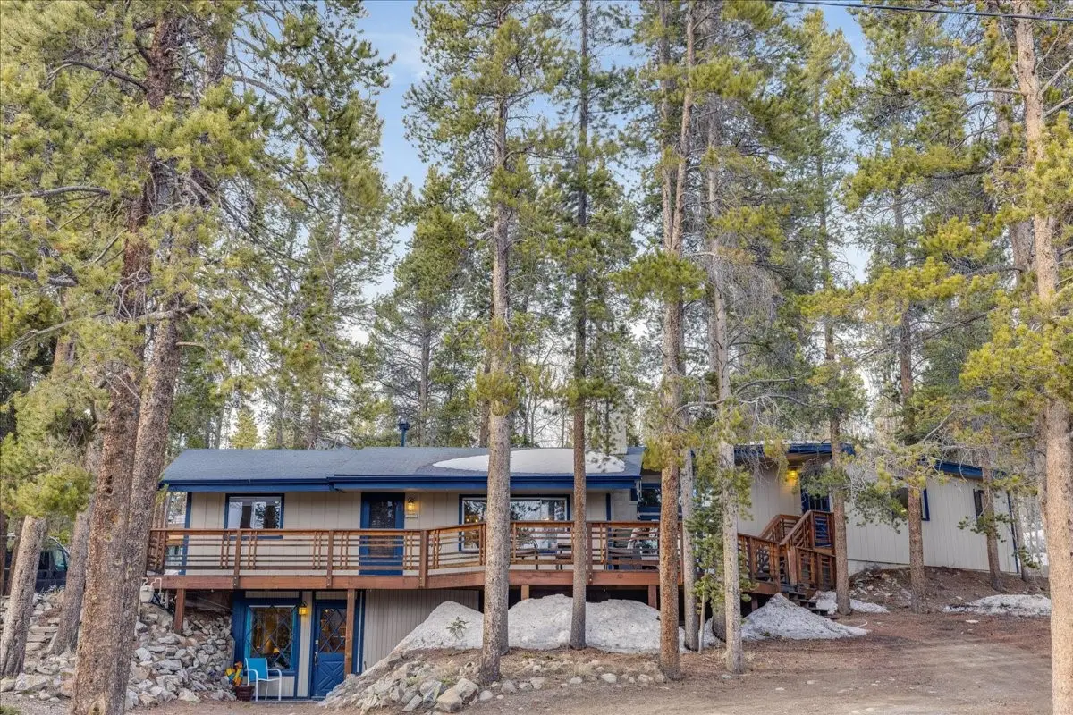 1981 Boreas Pass Road, Breckenridge, CO 80424 - #1