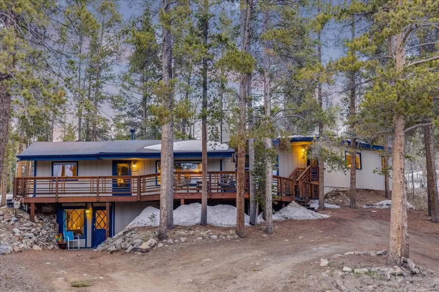 1981 Boreas Pass Road, Breckenridge, CO 80424 - #2