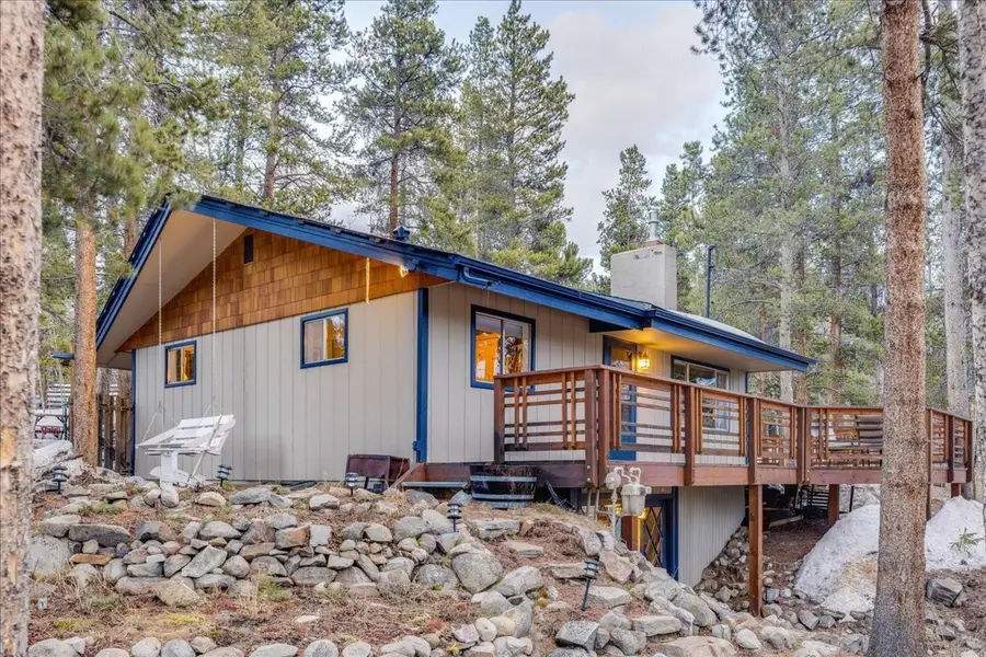 1981 Boreas Pass Road, Breckenridge, CO 80424 - #3