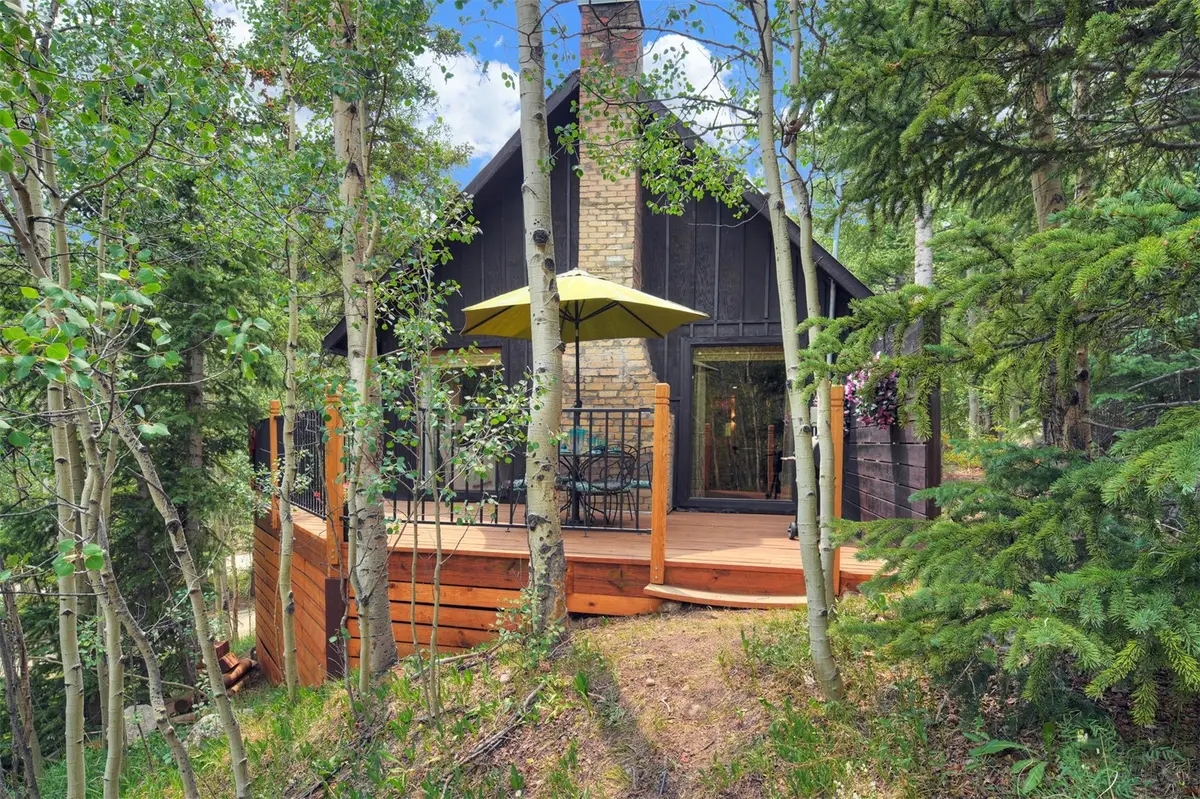 227 Roberts Road, Alma, CO 80420 - #1