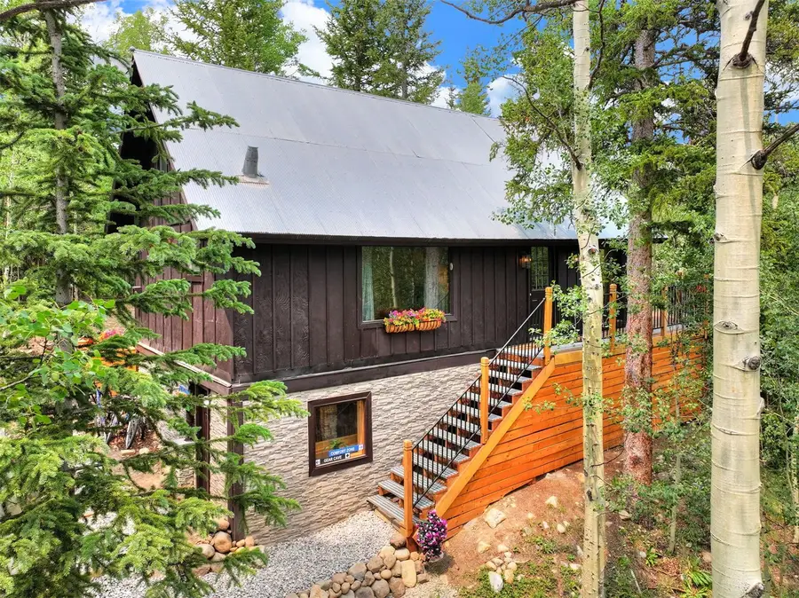 227 Roberts Road, Alma, CO 80420 - #2