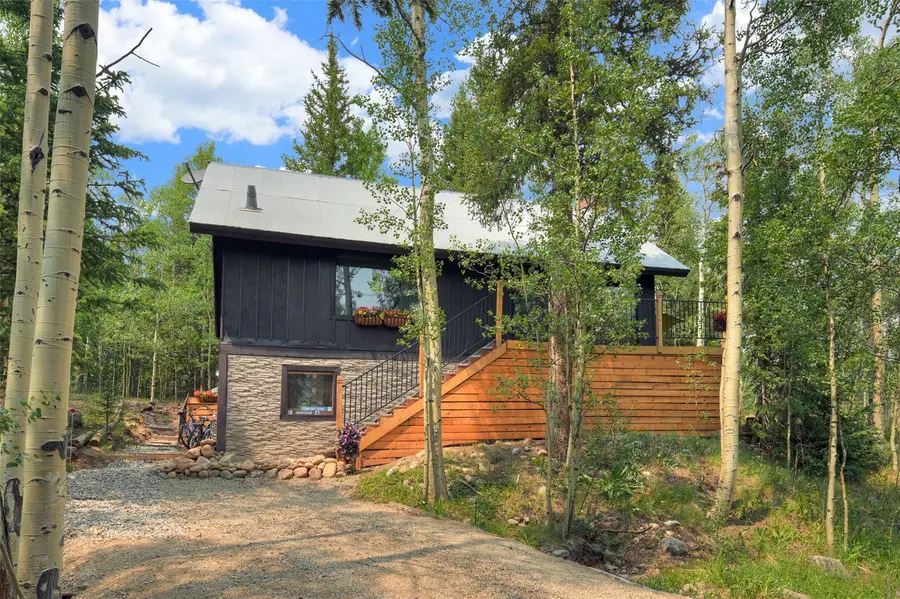 227 Roberts Road, Alma, CO 80420 - #3