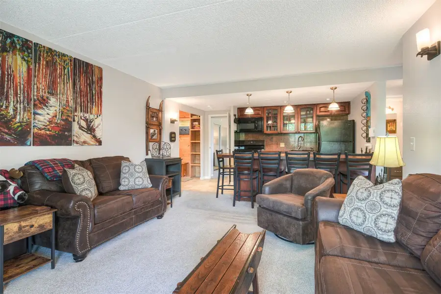 455 Village Road #510, Breckenridge, CO 80424 - #3