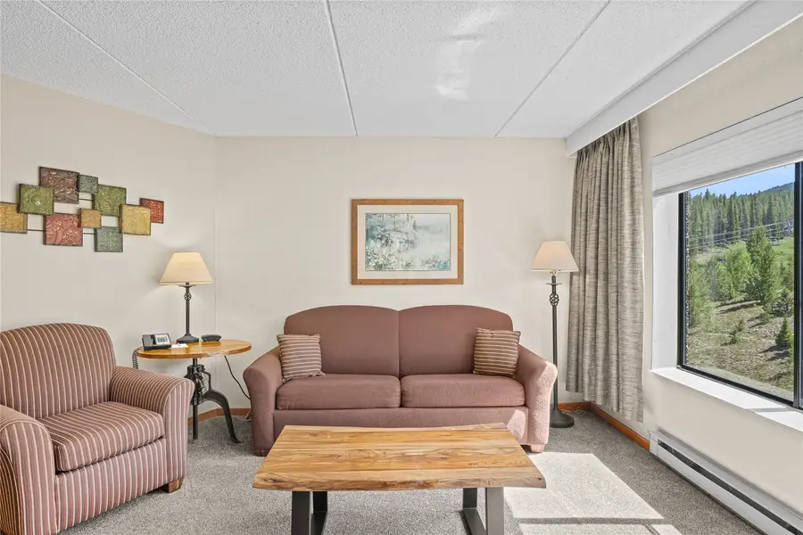 640 Village Road #4522, Breckenridge, CO 80424 - #3
