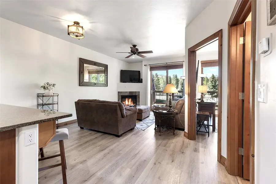 34 Highfield Trail #311, Breckenridge, CO 80424 - #2