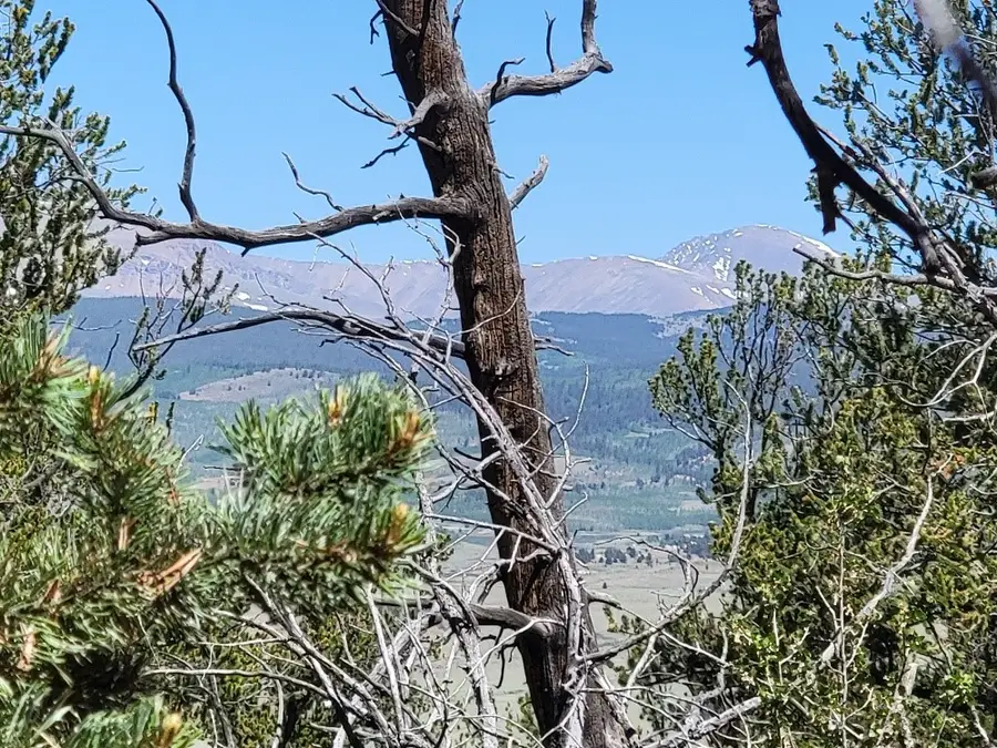 5217 Middle Fork, Fairplay, CO 80440 - #3