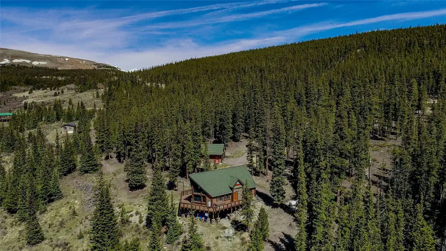 36 Silk Sisters Place, Fairplay, CO 80440 - #2
