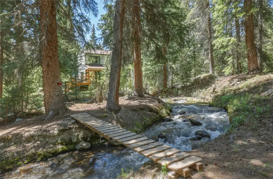 57 Rock Springs Road, Breckenridge, CO 80424 - #2