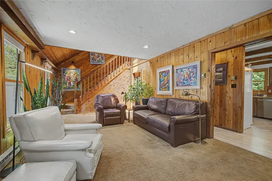 57 Rock Springs Road, Breckenridge, CO 80424 - #3