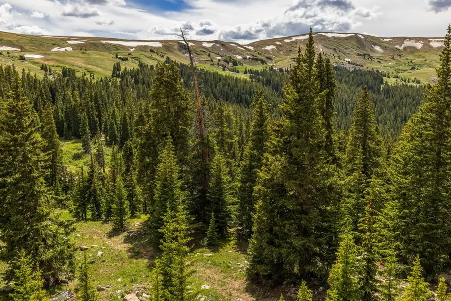 TBD Saints Johns Road, Montezuma, CO 80435 - #2
