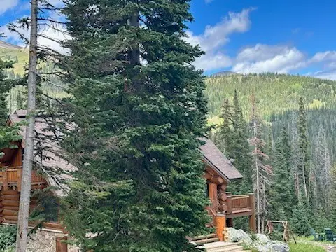 355 Quandary View Drive, Breckenridge, CO 80424 - #3