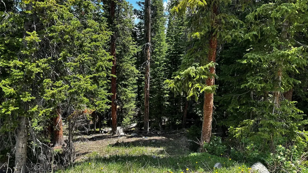 584 Camron Lane, Breckenridge, CO 80424 - #1