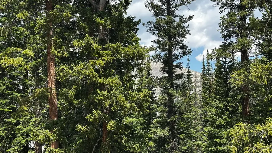 584 Camron Lane, Breckenridge, CO 80424 - #2