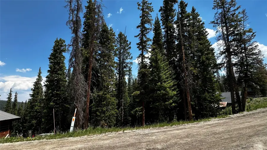 584 Camron Lane, Breckenridge, CO 80424 - #3