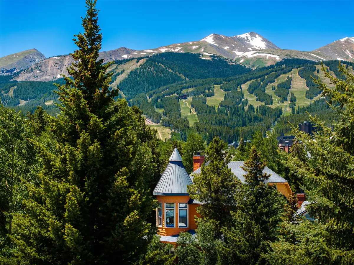 307 S High Street, Breckenridge, CO 80424 - #1