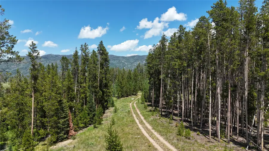 33415 Filly Trail, Oak Creek, CO 80467 - #2