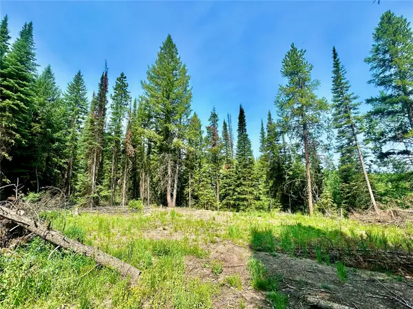 Lot 38 Colt Trail, Oak Creek, CO 80467