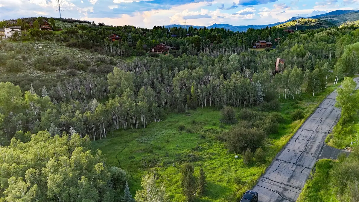 1350 Anglers Drive, Steamboat Springs, CO 80487 - #1