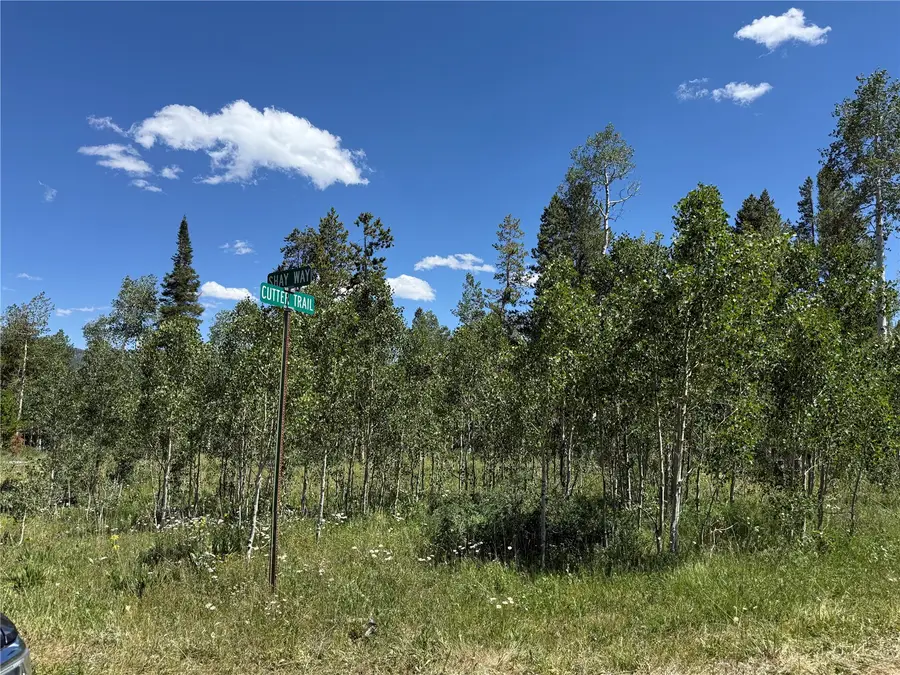 5 Lots on Shay Way, Oak Creek, CO 80467 - #3